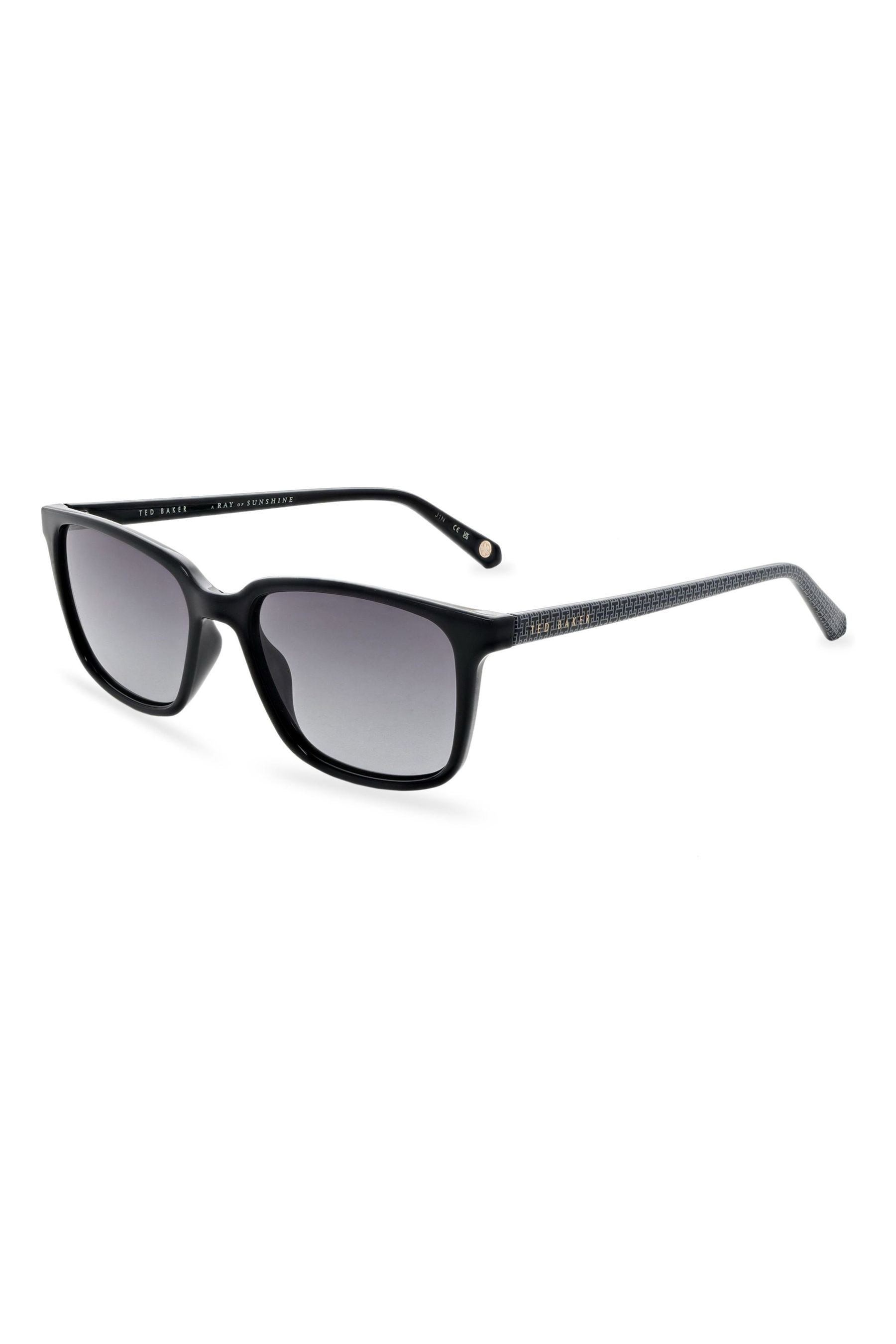 Buy Ted Baker Black Classic Mens Sunglasses with Contrast Temples from Next Luxembourg