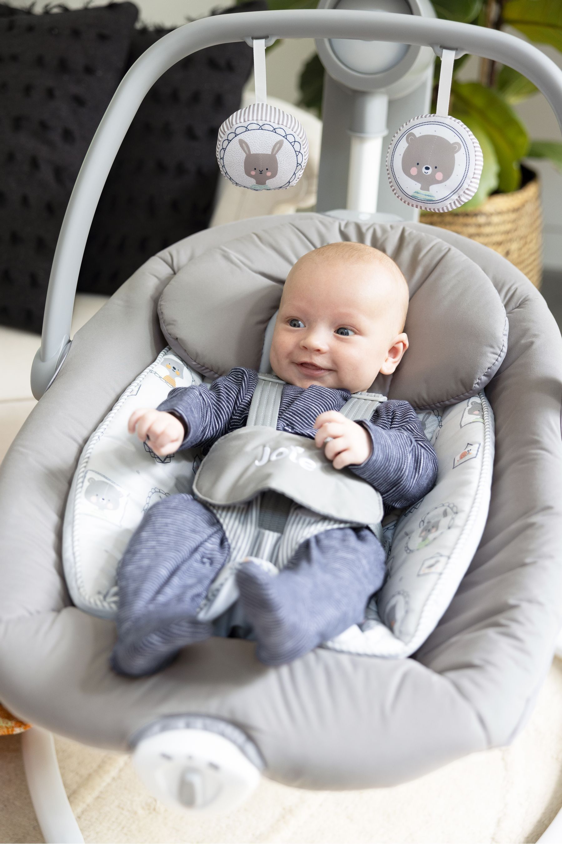 Joie grey bouncer best sale