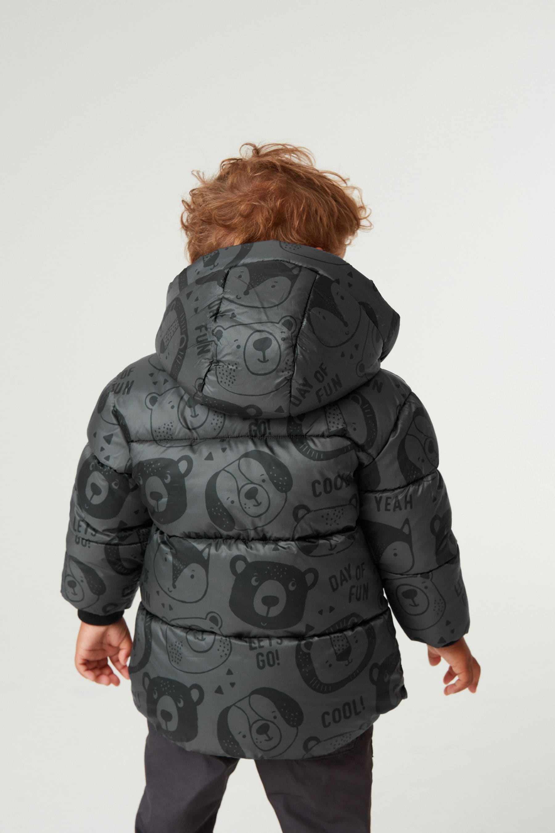 Grey bear coat hotsell