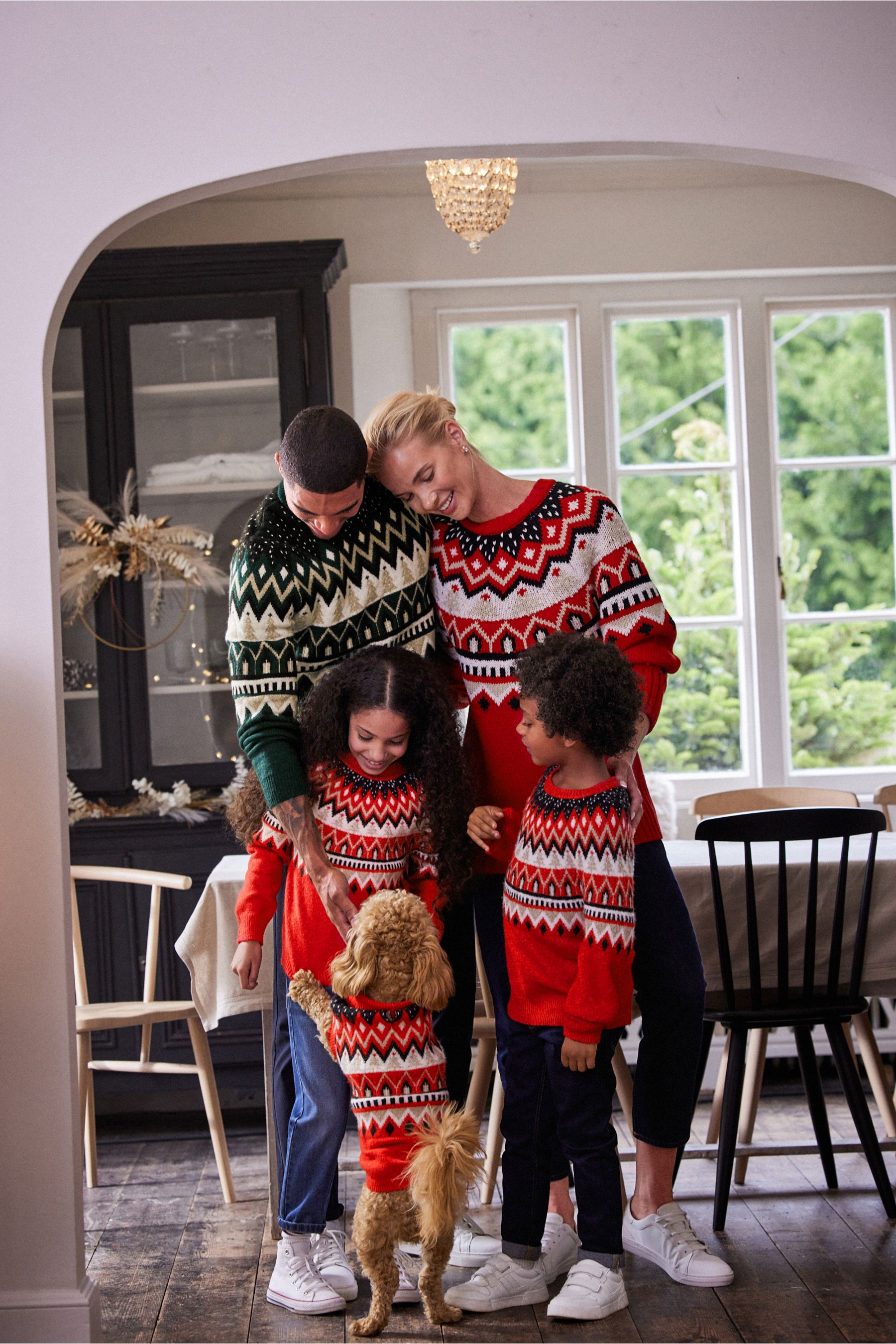Christmas jumper matching dog top