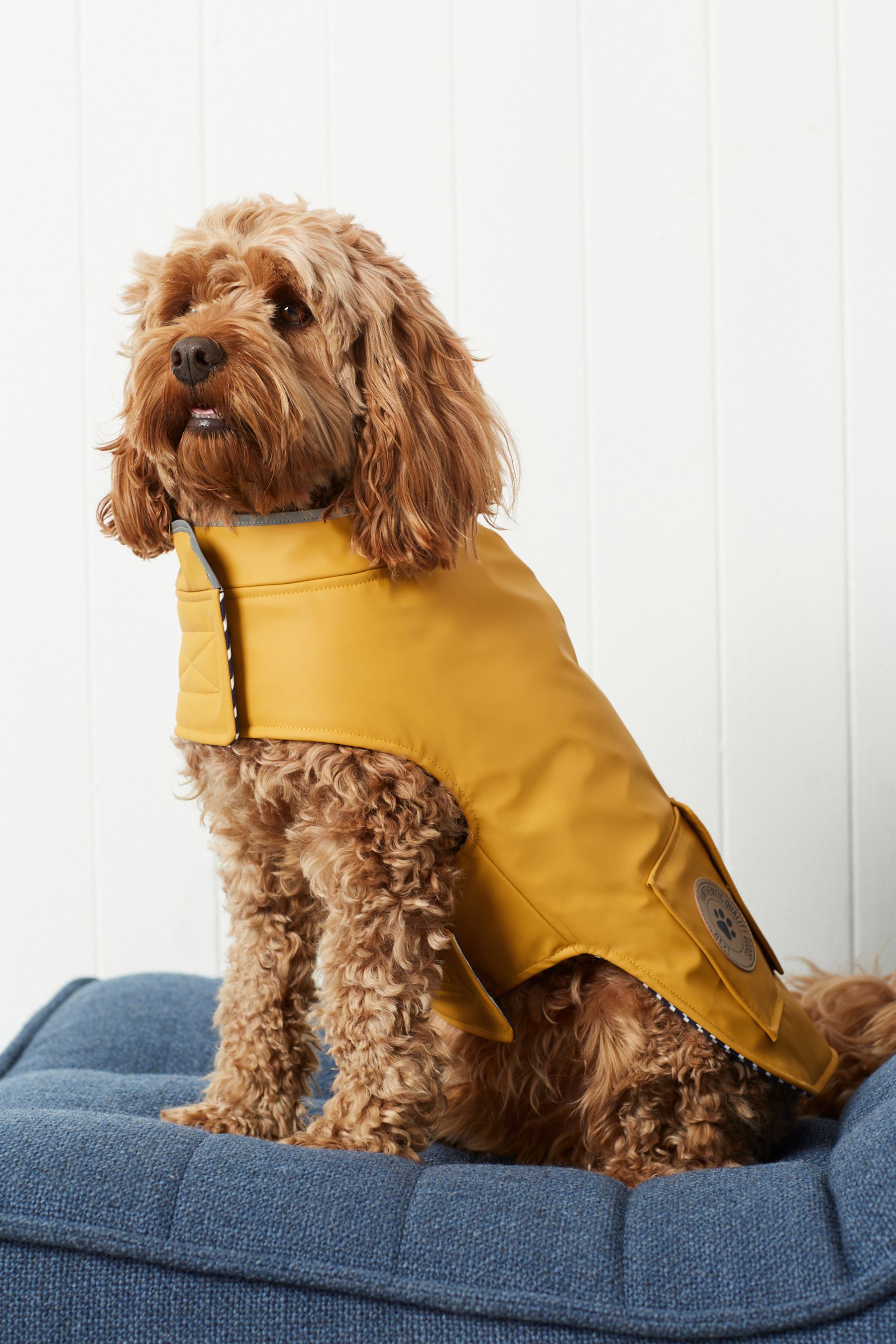 Buy Yellow Dog Raincoat with Pocket from Next Luxembourg