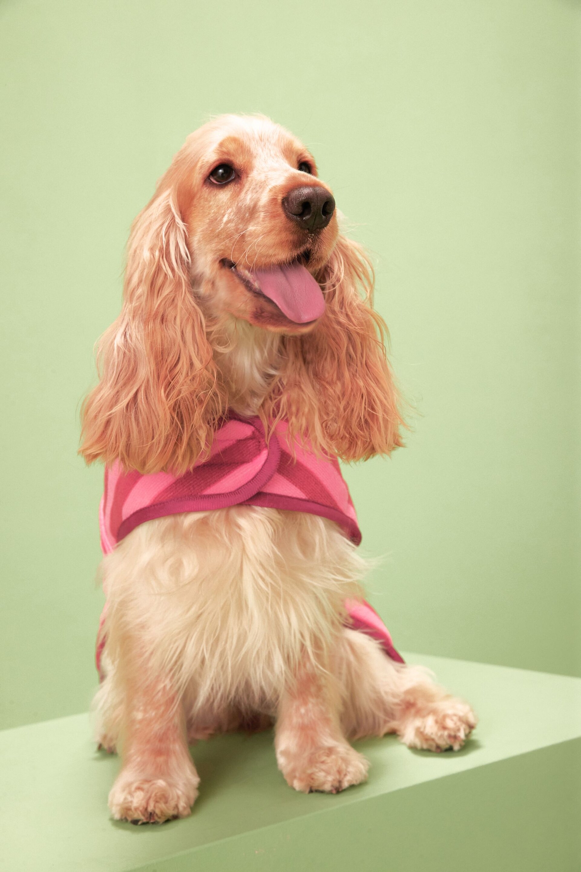 Pink Dog Drying Towel Robe - Image 2 of 7
