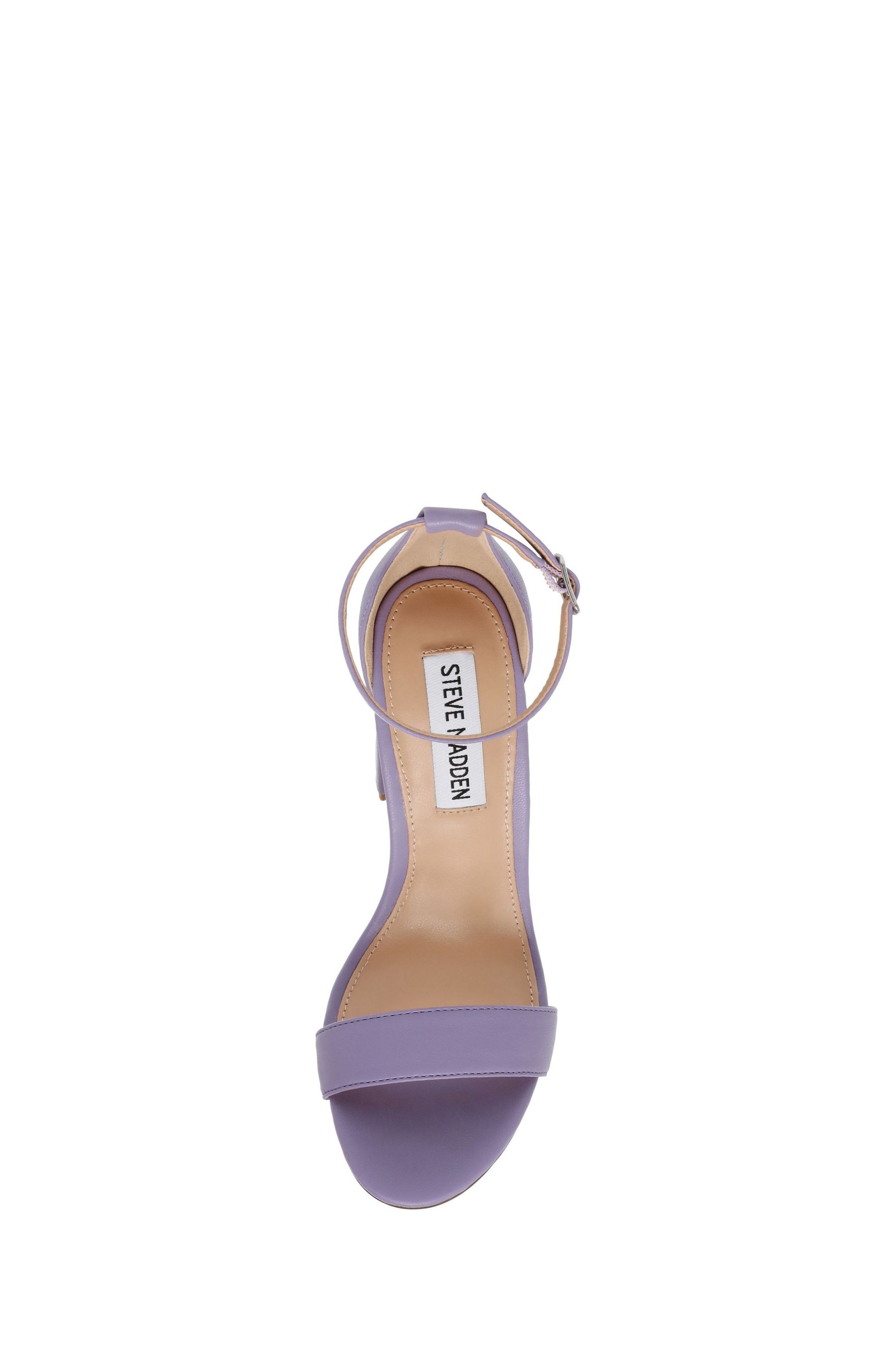 Buy Steve Madden Purple Carrson Sandals from Next Austria