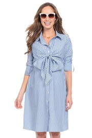 Seraphine Blue Stripe Cotton And Lyocell Maternity And Nursing Shirt Dress - Image 5 of 6