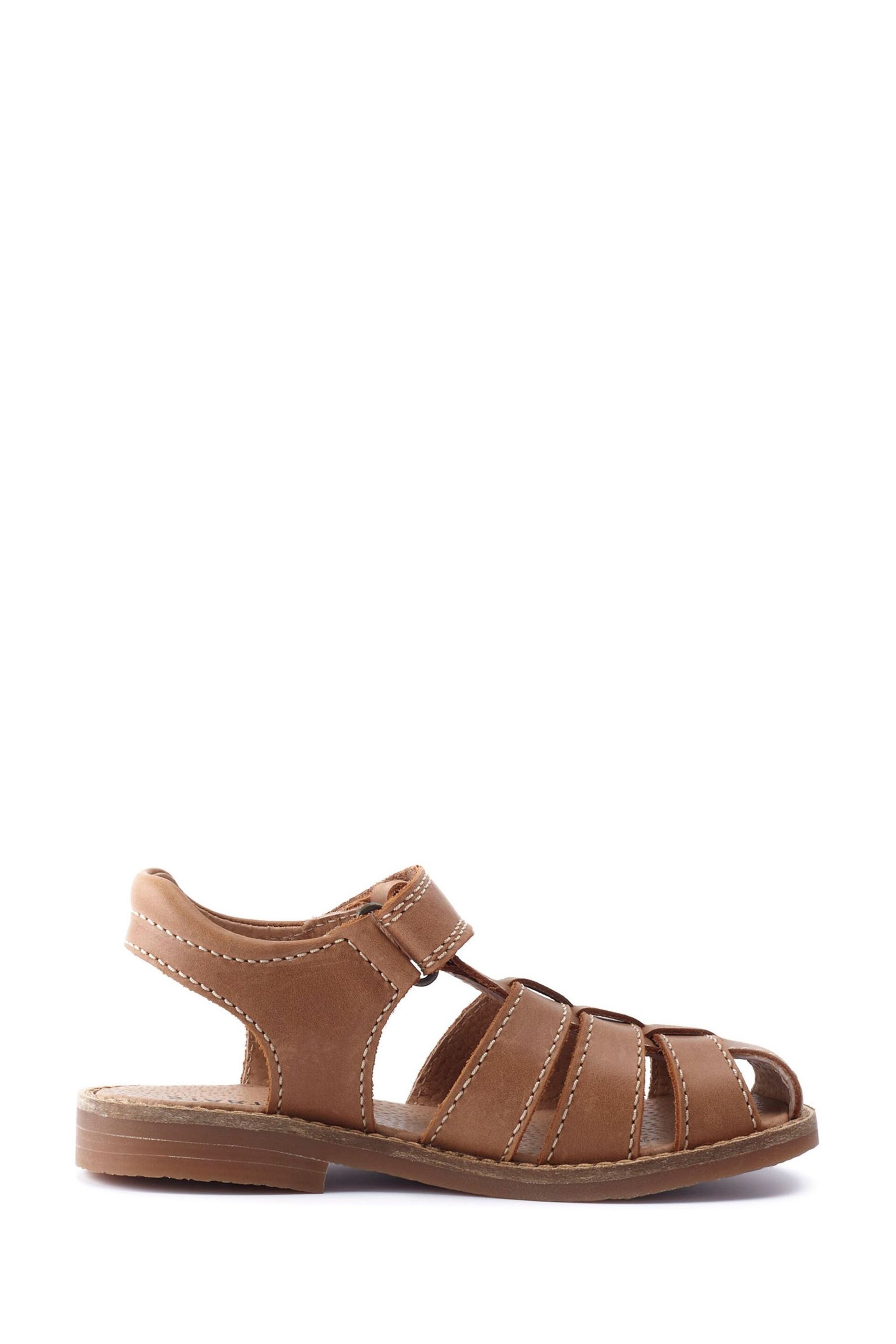 Start Rite Tan Brown Pier Leather Classic Riptape Sandals Standard Width Fitting - Image 2 of 6