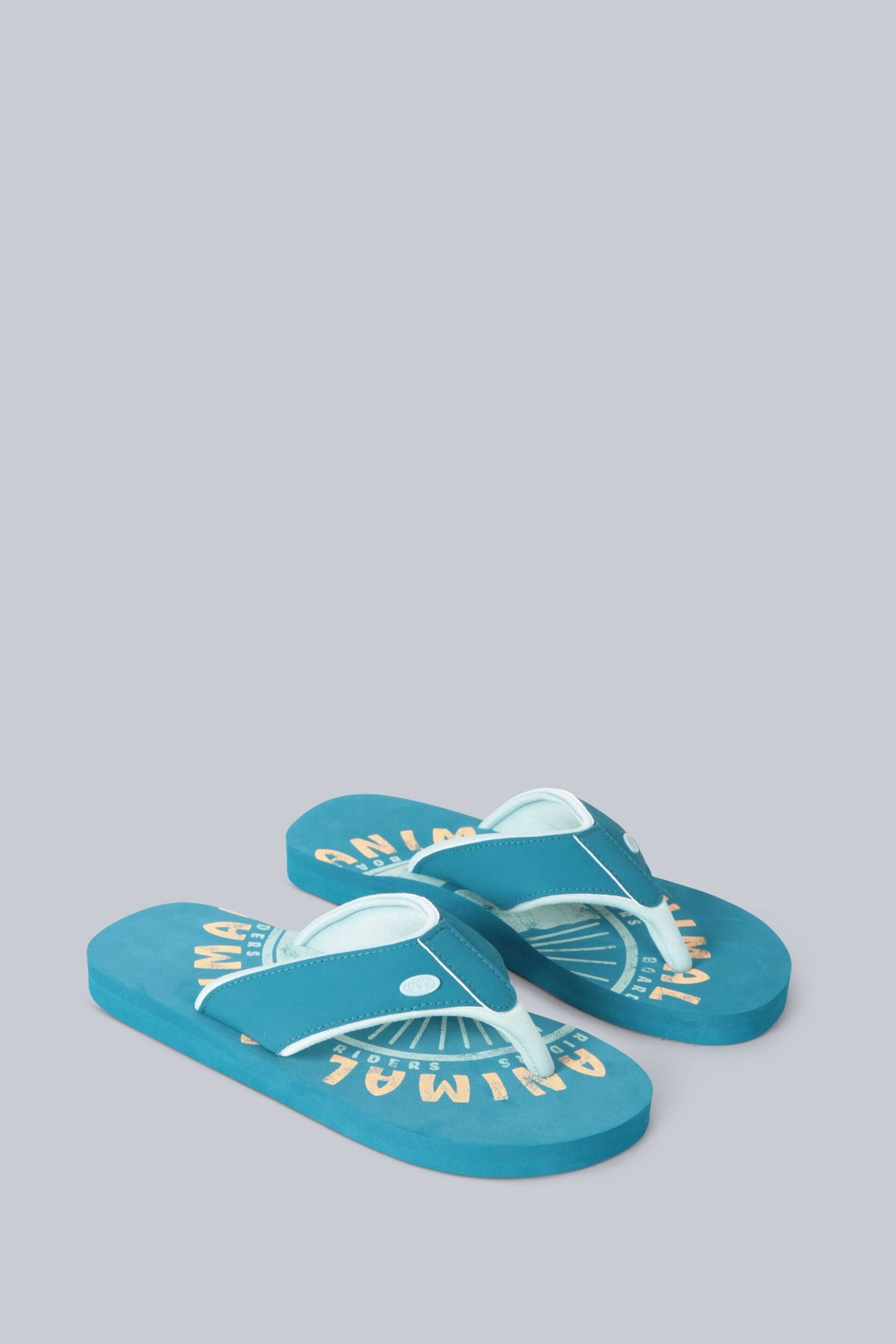 Animal Womens Fiery Swish Flip Flops - Image 1 of 4