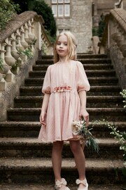 Pink Chiffon Corsage Dress (3-16yrs) - Image 1 of 10