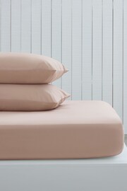 Natural Beige Cotton Rich Fitted Sheet - Image 1 of 1