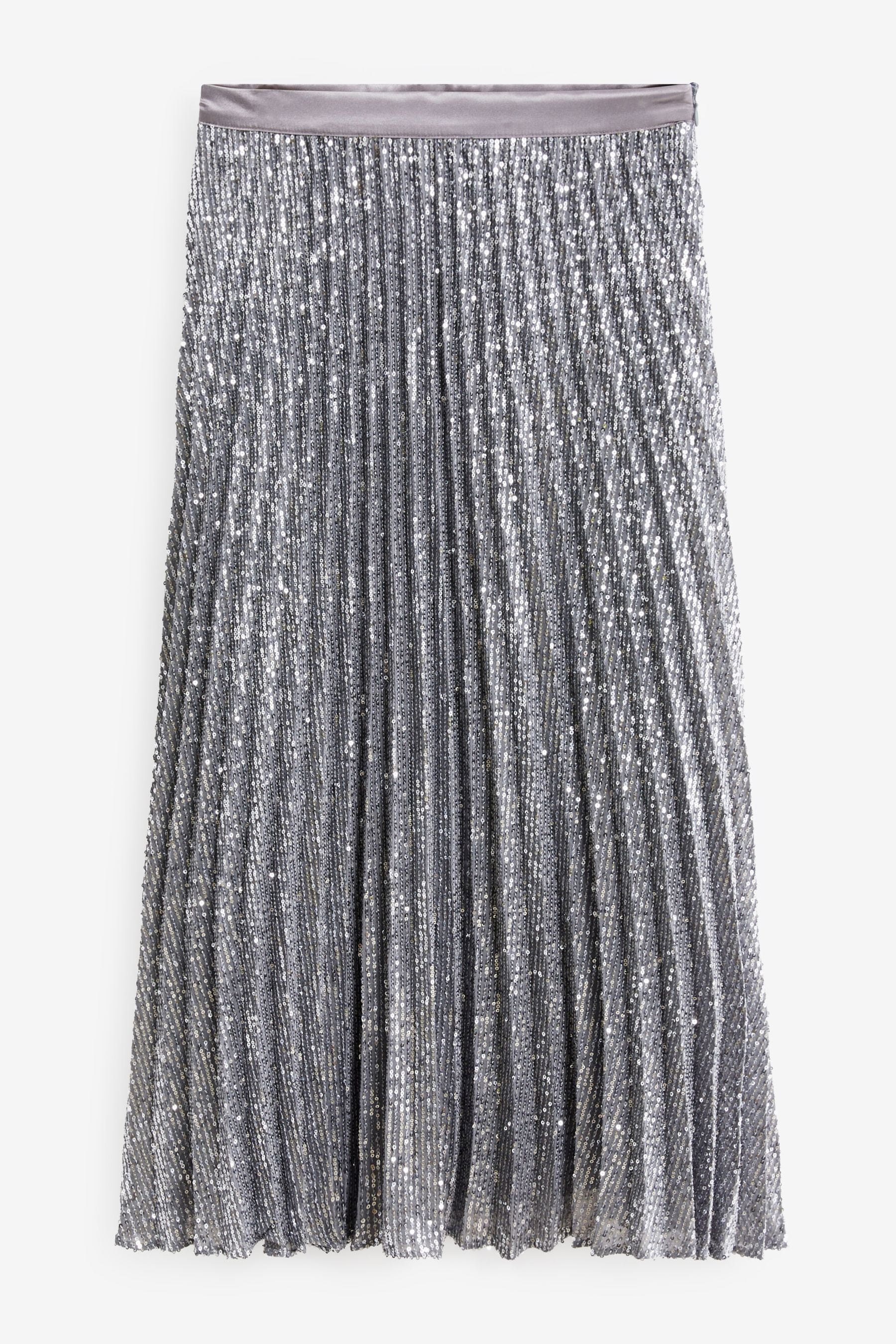 Buy Silver Premium Sequin Pleated Skirt from Next Luxembourg