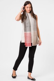 Pure Luxuries London Grey Neptune Cashmere & Merino Wool Pashmina Scarf - Image 1 of 1