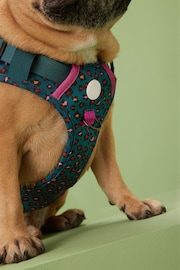 Teal Blue/Purple Animal Dog Harness - Image 5 of 9
