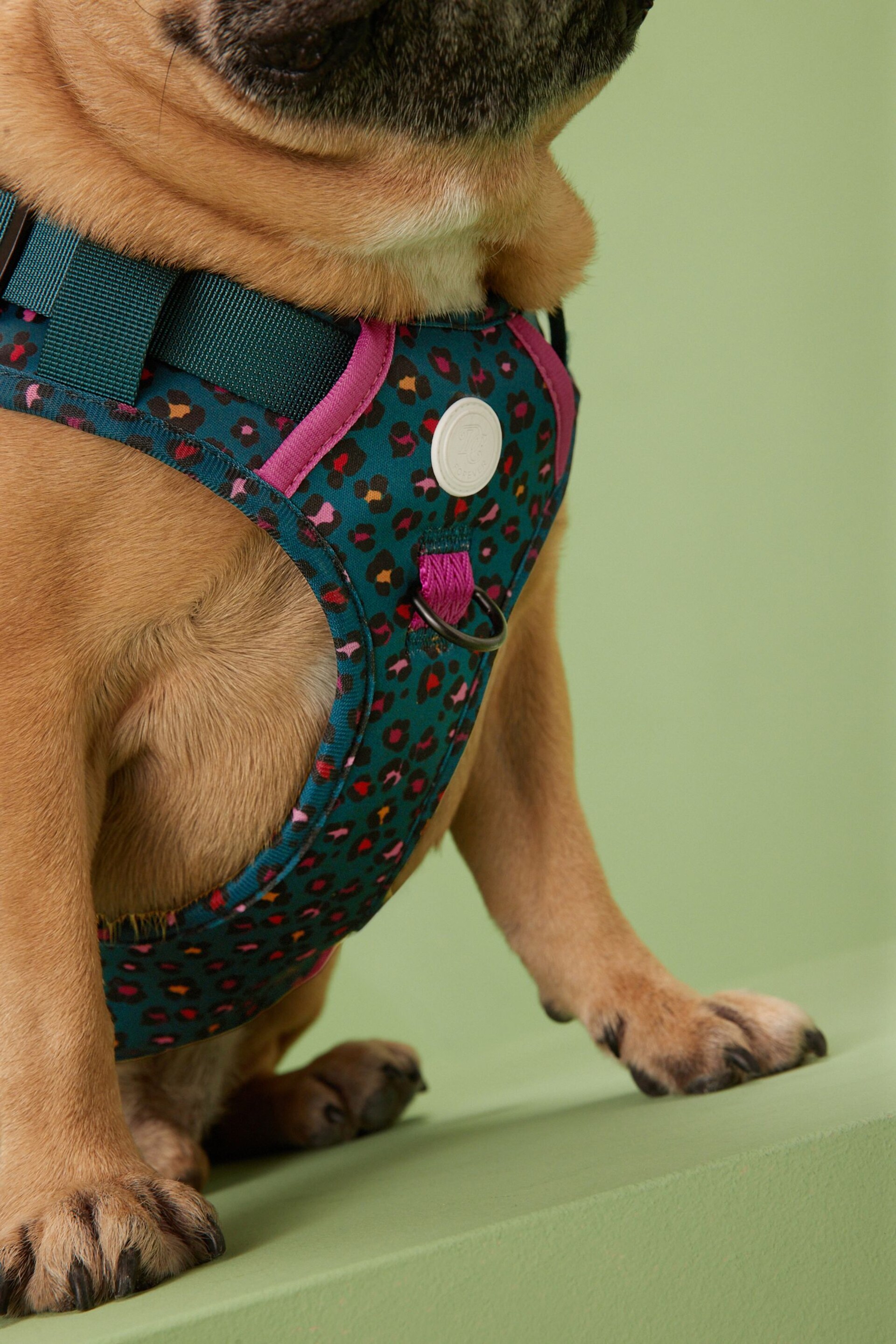Teal Blue/Purple Animal Dog Harness - Image 5 of 9