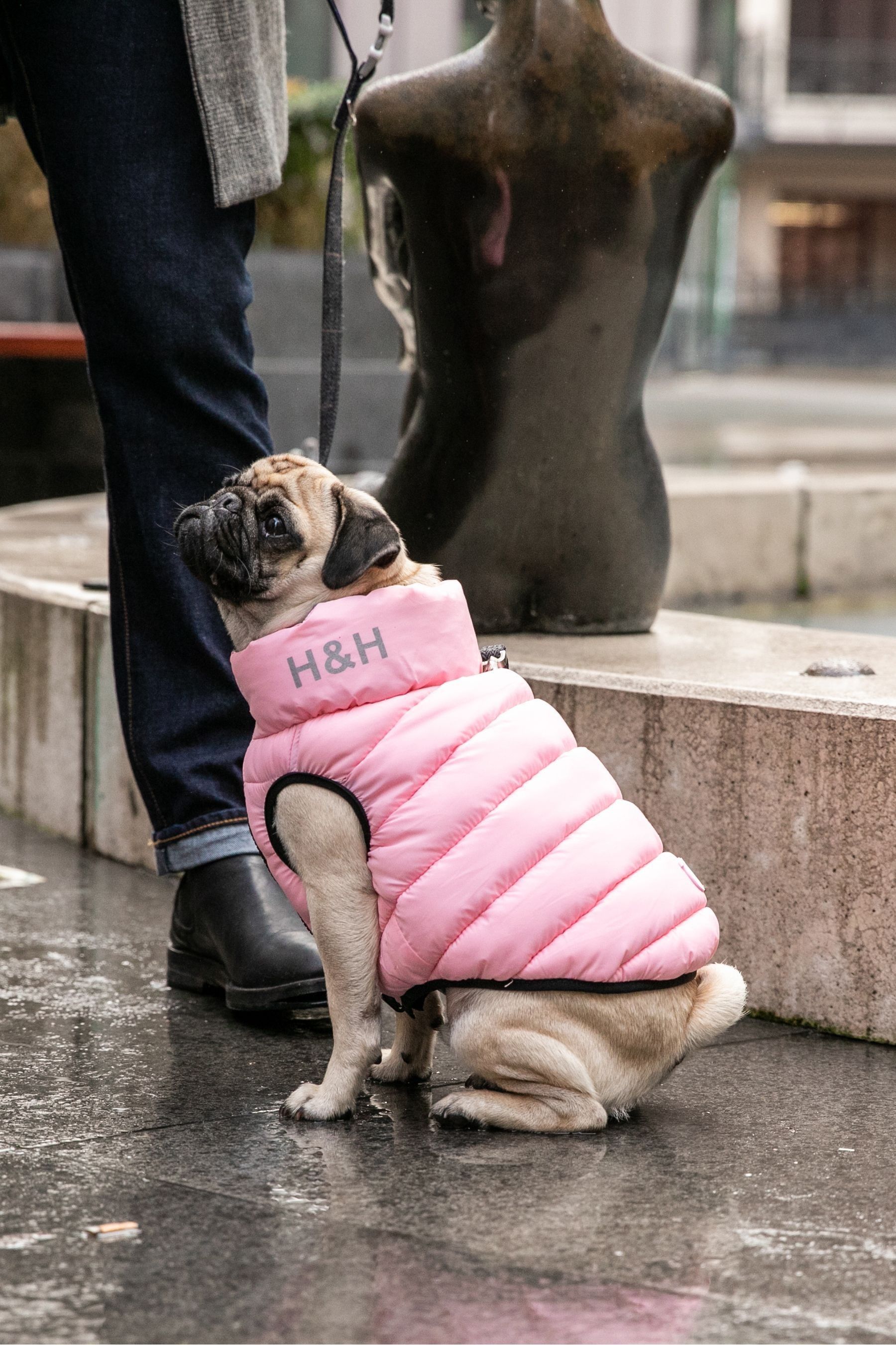Dog puffer jacket uk deals
