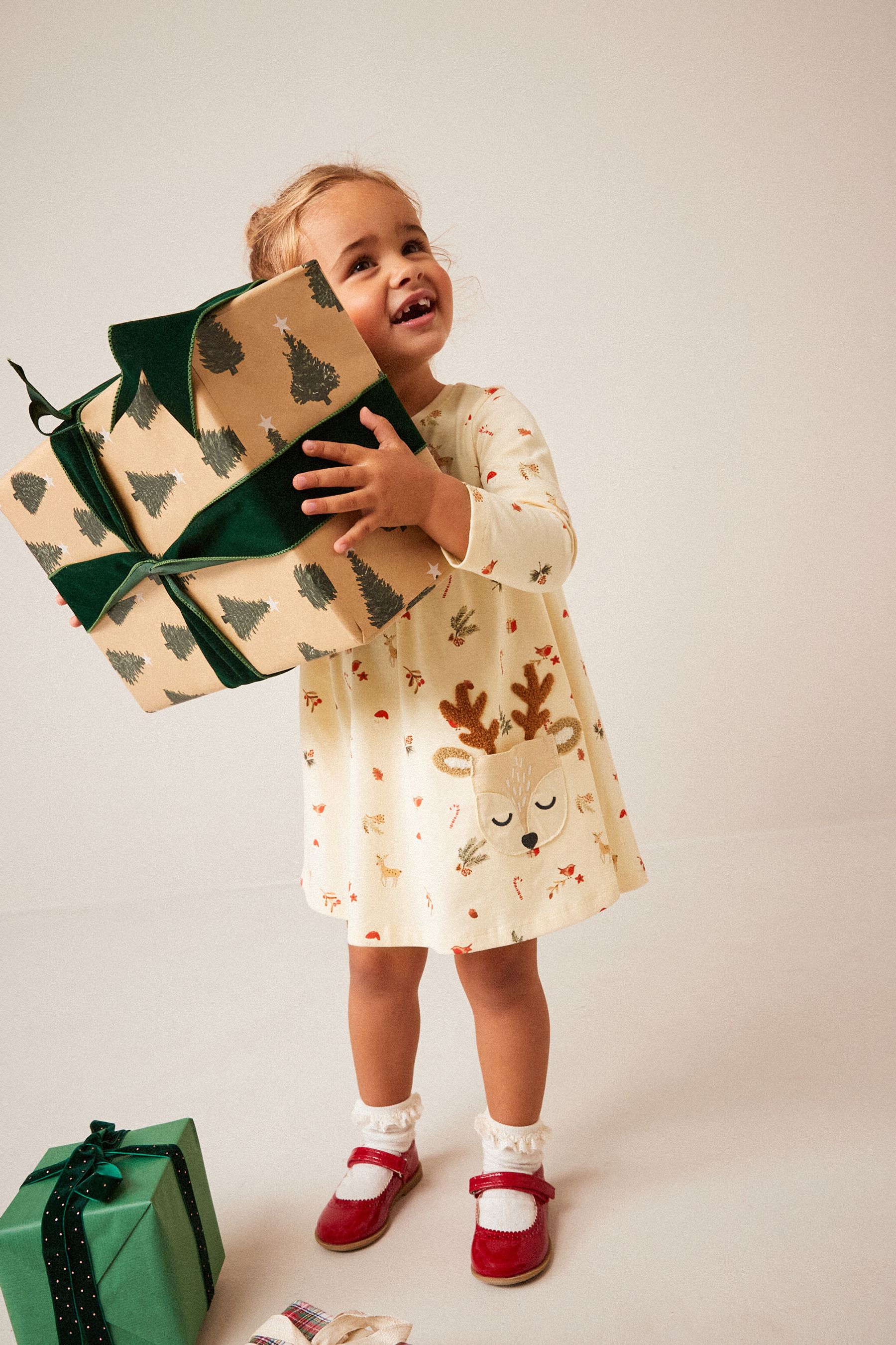 Next reindeer dress outlet