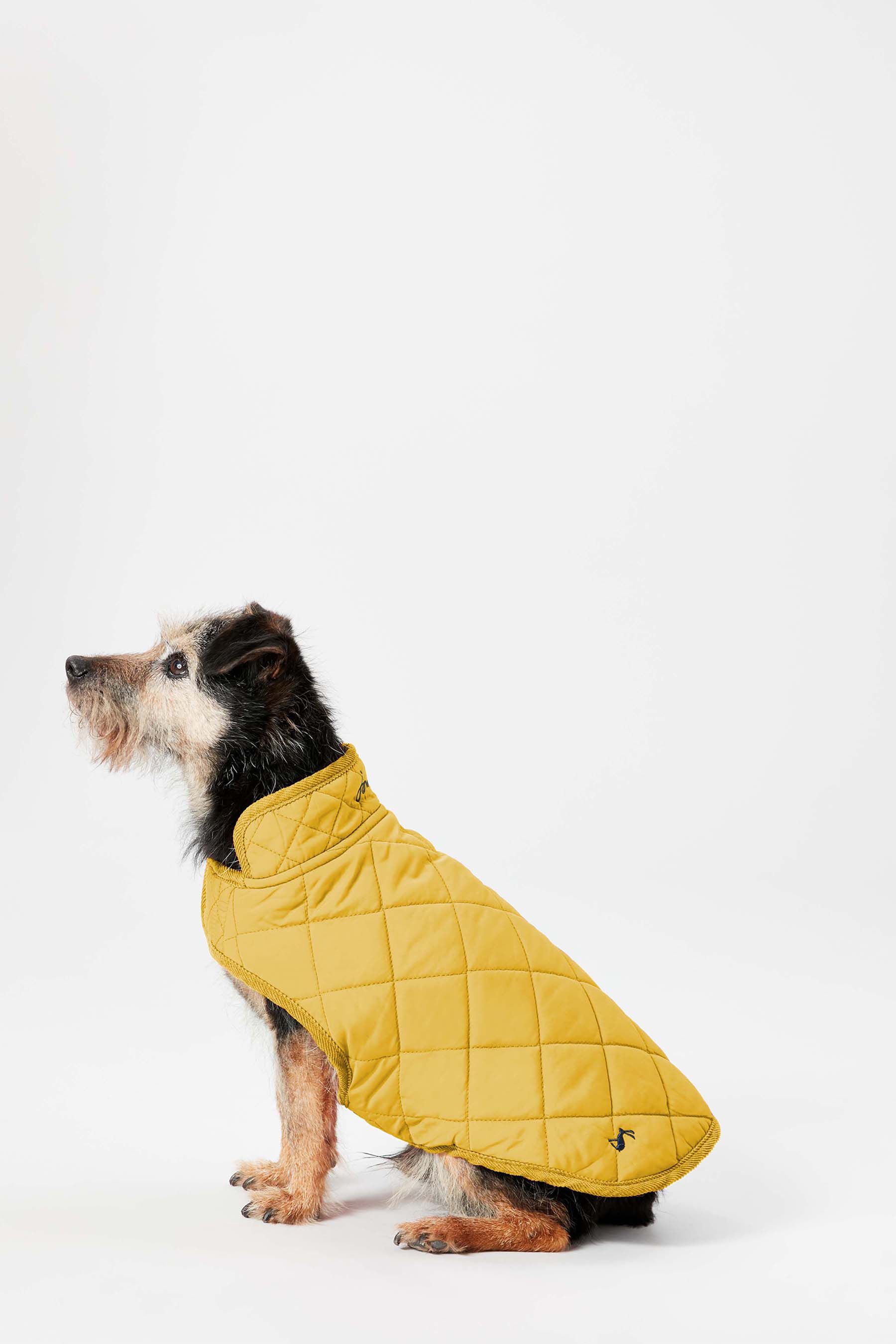 Joules yellow dog coat store
