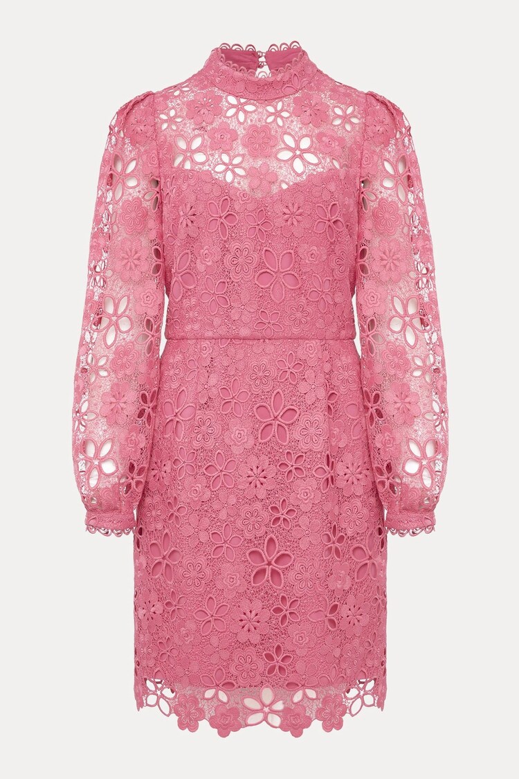 Phase Eight Pink Doris Guipure Lace Highneck Dress - Image 6 of 6