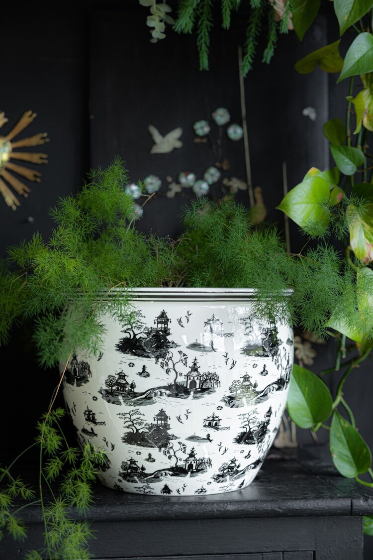 Rockett St George Black/White Willow Toile Large Planter - Image 1 of 5