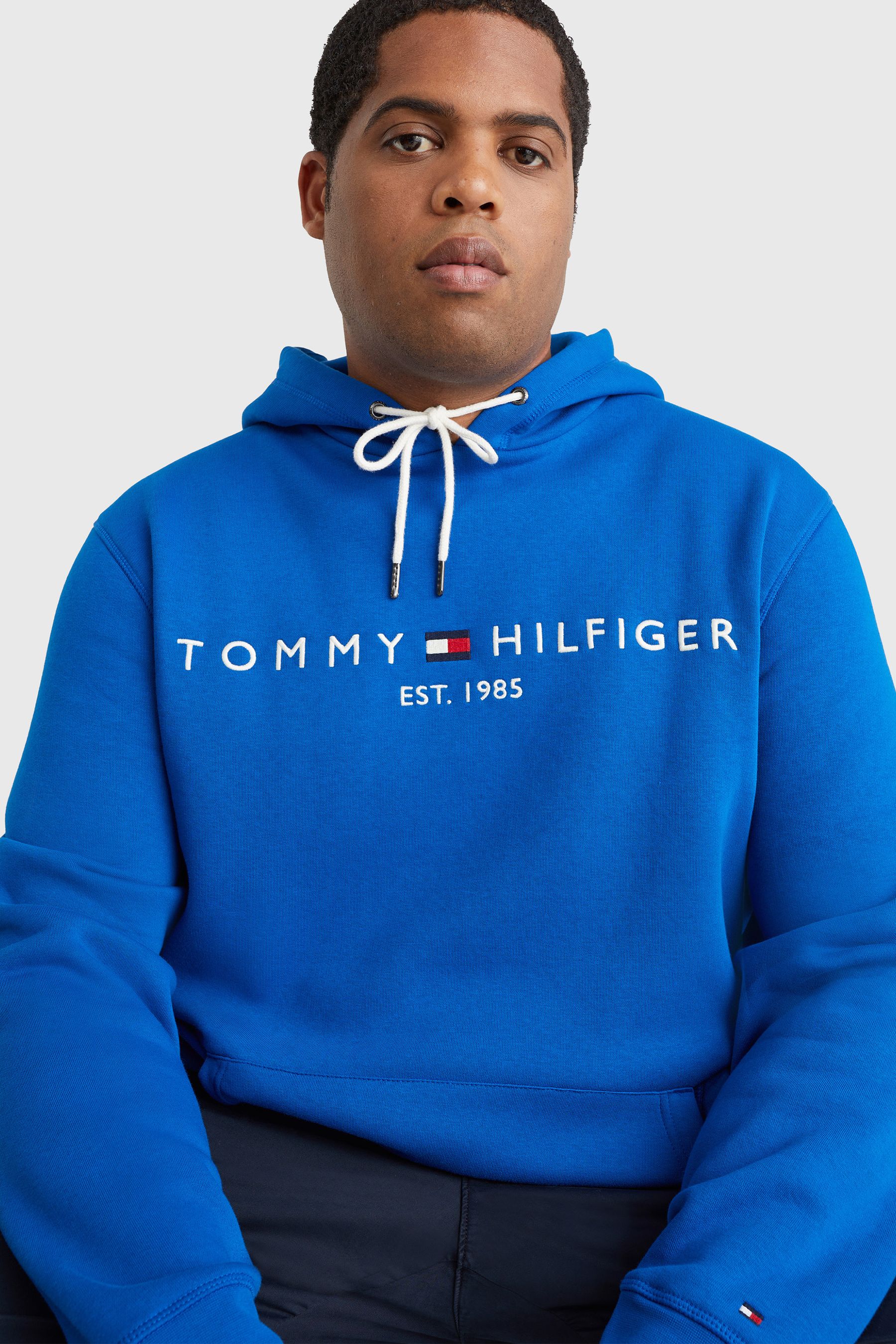 Tommy hilfiger big and tall hoodie online