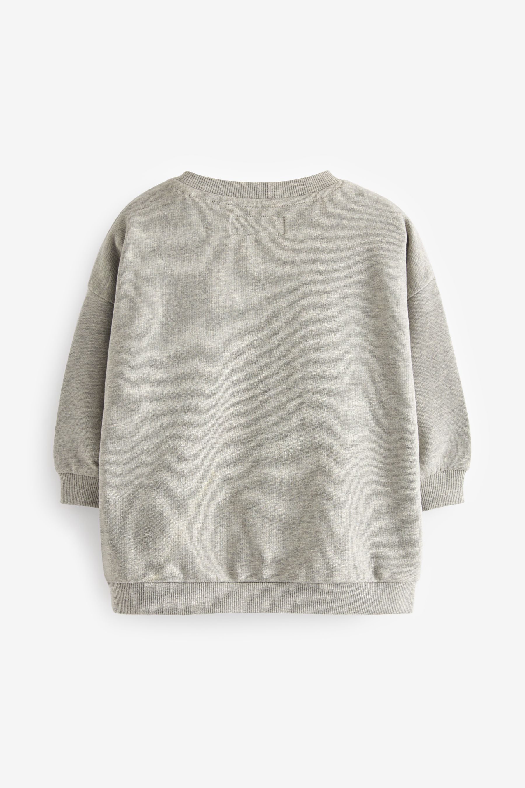 Next grey sweatshirt 2025