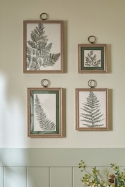 Set of 4 Green Botanical Framed Wall Art - Image 1 of 5