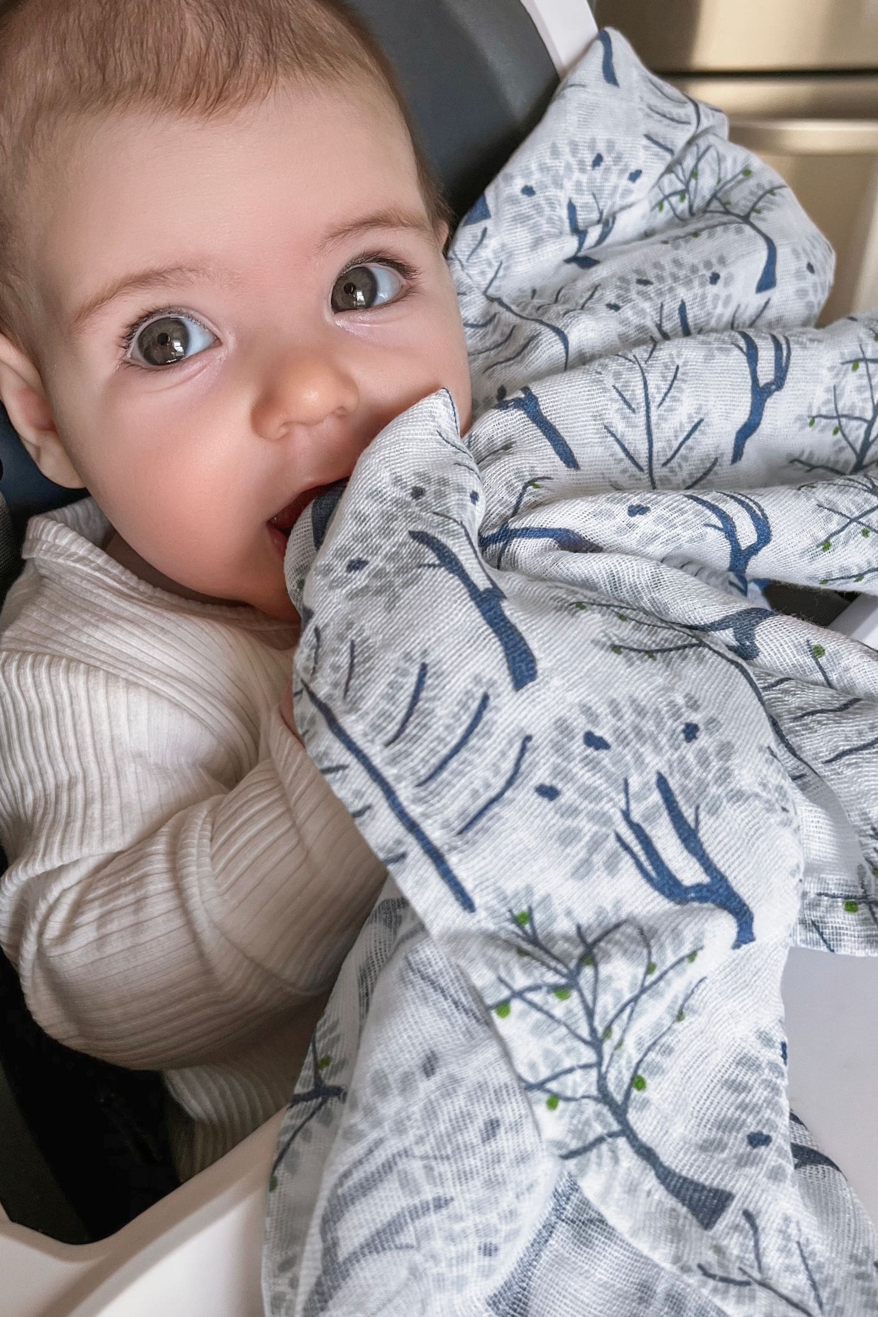 Buy aden anais Outdoor Organic Cotton Muslin Blankets 4 Pack from Next Luxembourg