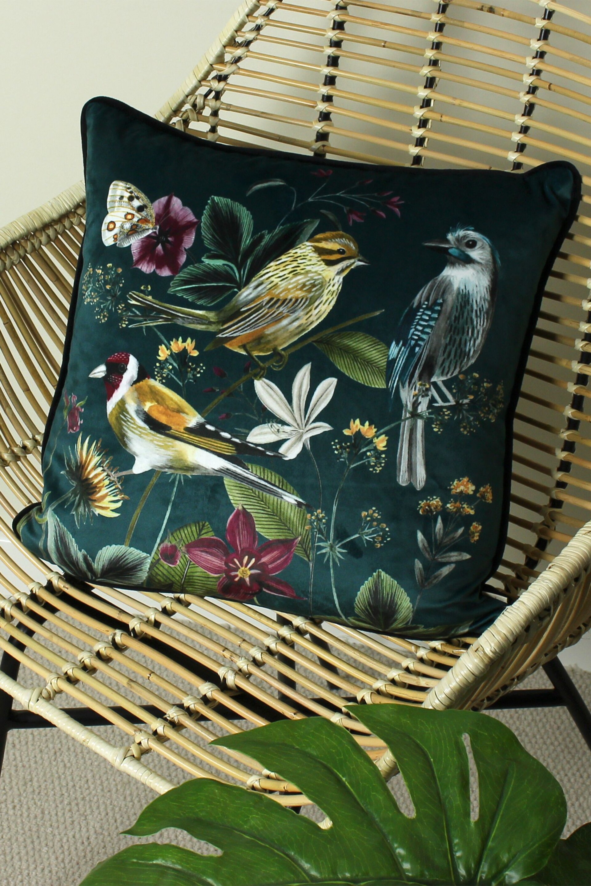 Evans Lichfield Green Multicolour Midnight Garden Birds Piped Velvet Cushion - Image 1 of 6