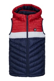 Padded Hooded Gilet - Image 5 of 5