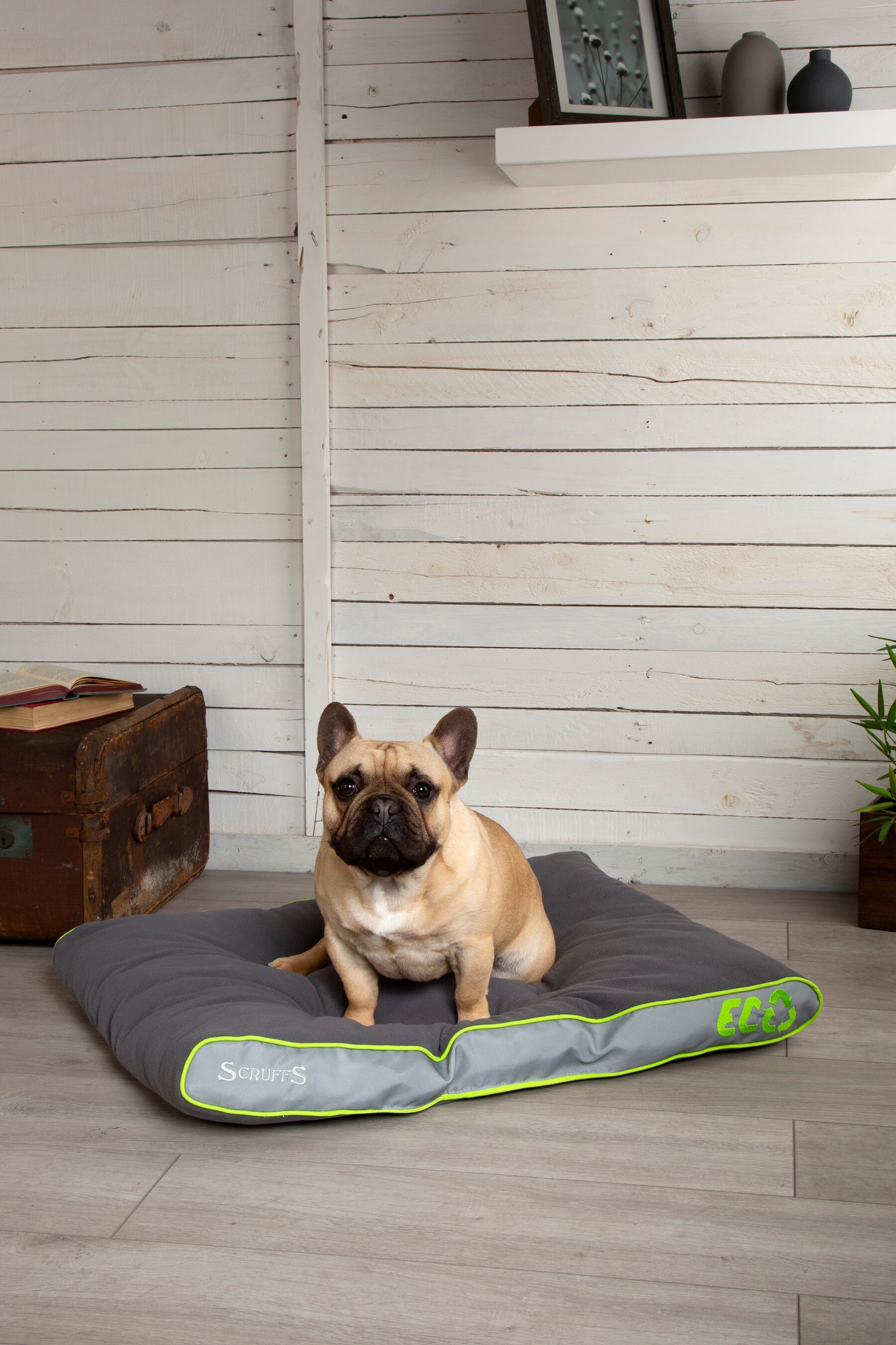 Scruffs eco dog bed store