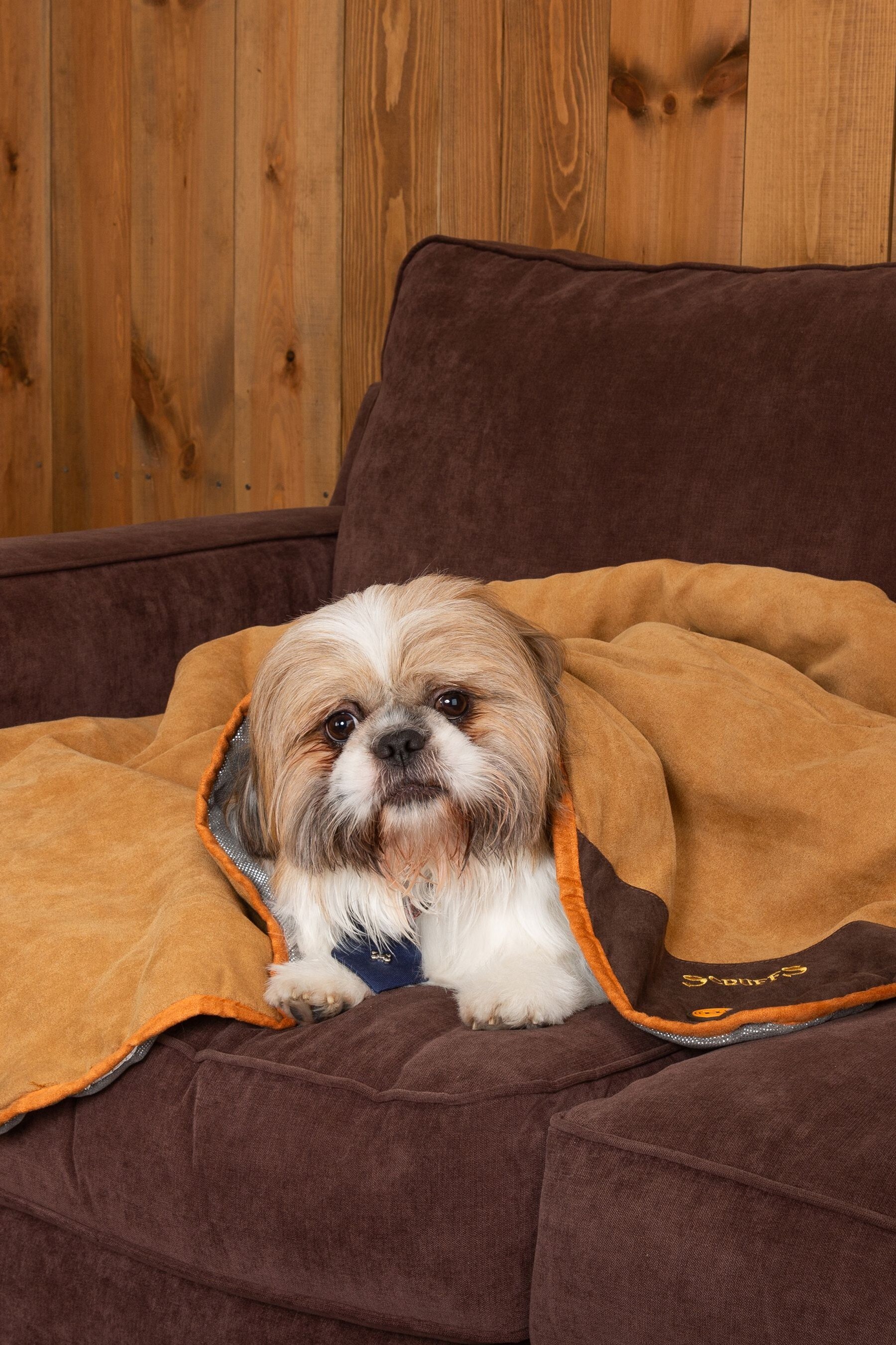 Scruffs thermal dog bed 2025