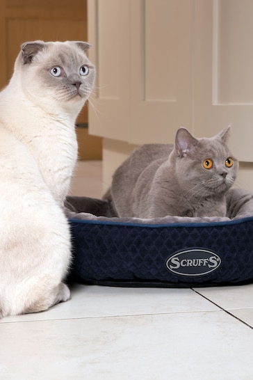 Scruffs Blue Thermal Ring Bed