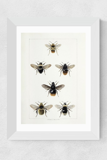 East End Prints White British Bee Print