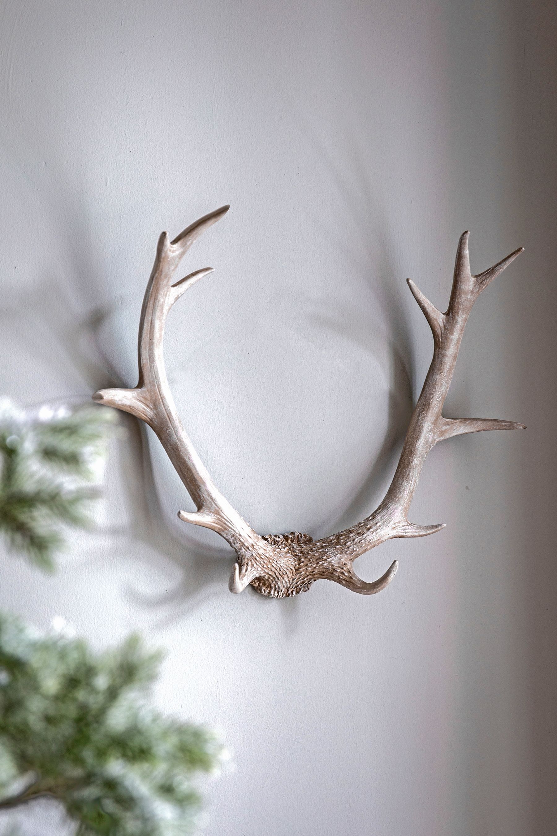 Decorative antlers sales wall