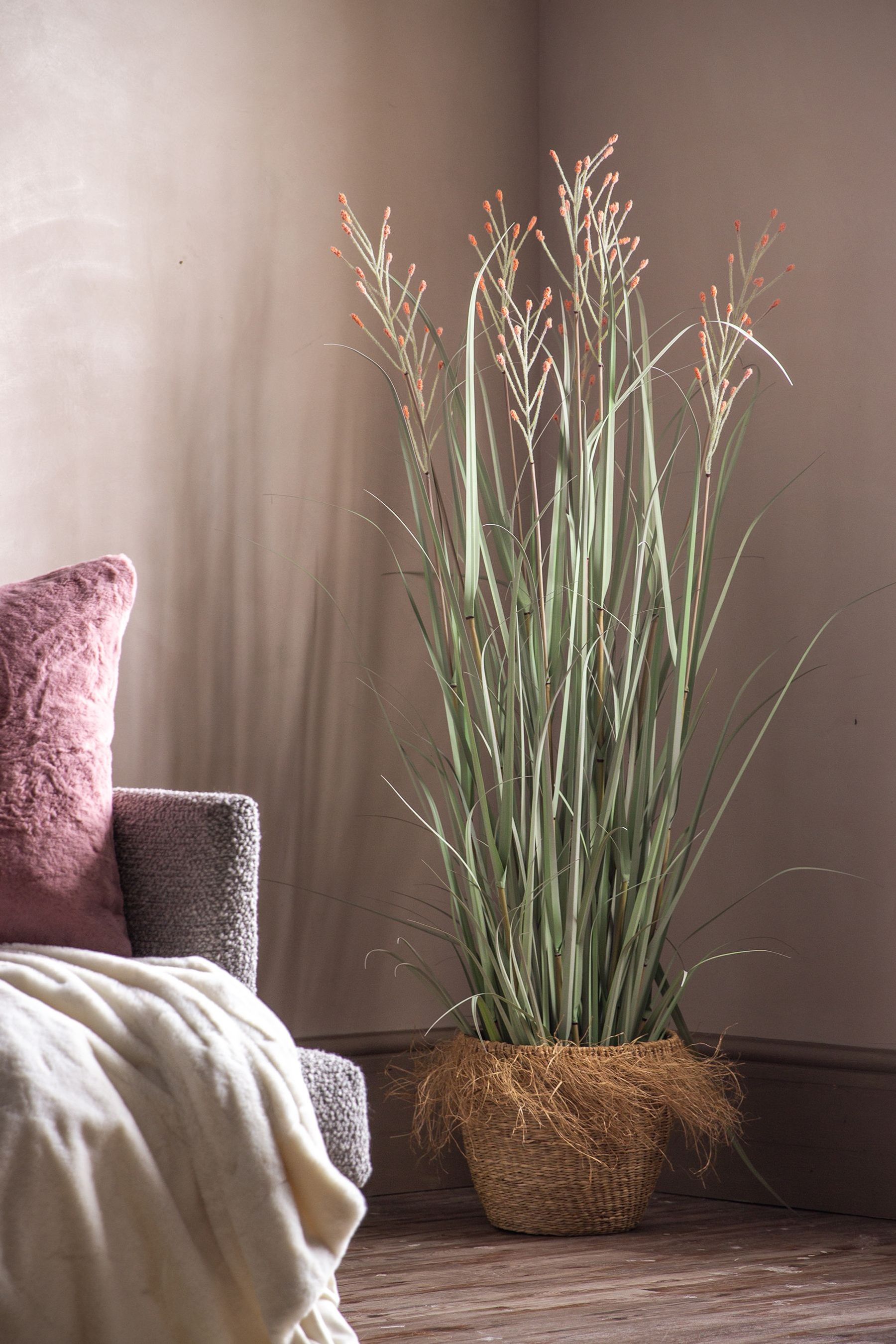 Buy Gallery Home Green Artificial Grass In Pot from the Next UK online shop