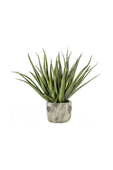 Gallery Home Green Artificial Wide Leafed Aloe Plant In Pot