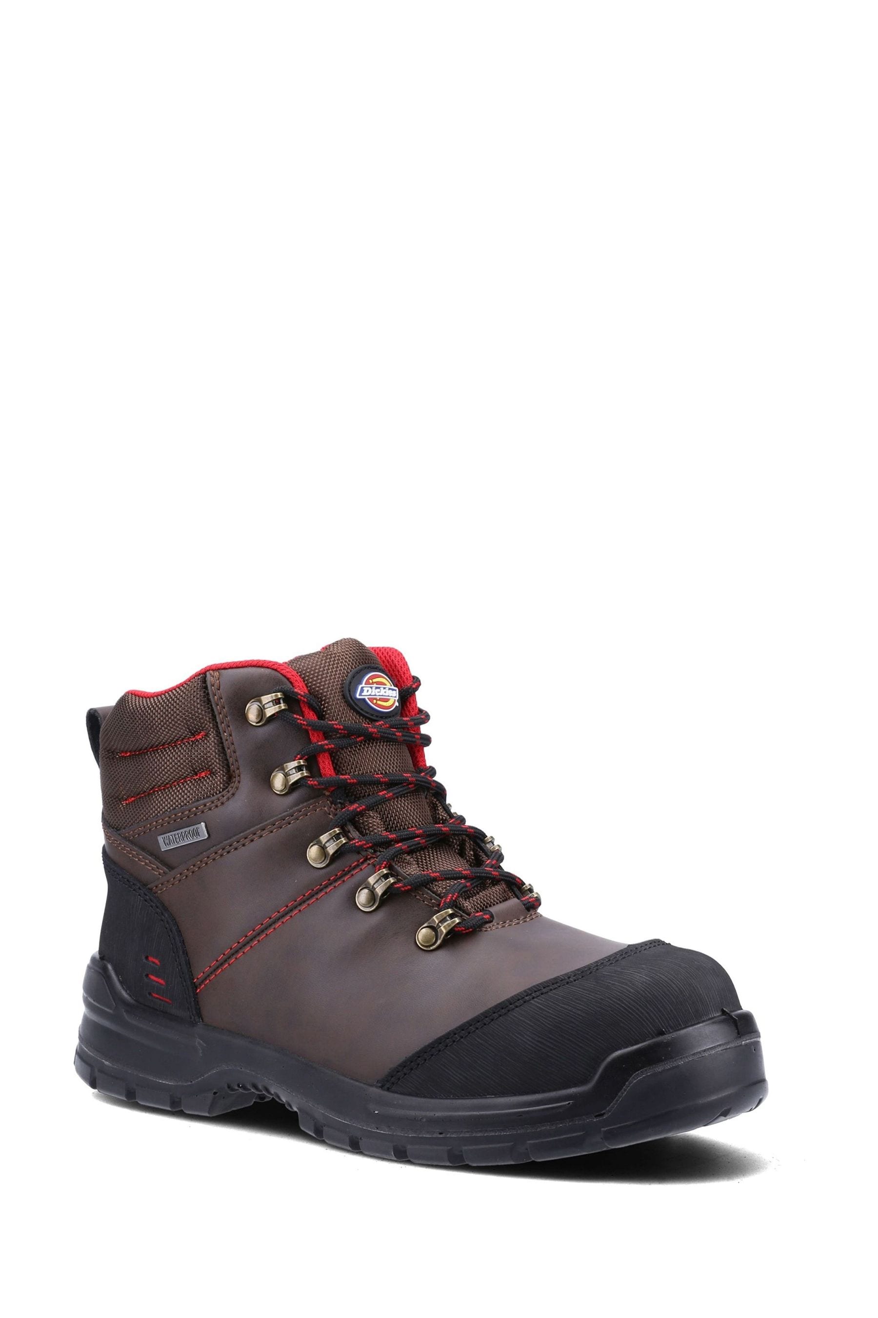 Dickies Cameron Safety Brown Boots