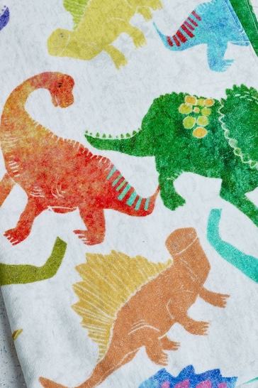 Multi Children's Bright Dinosaur Towel