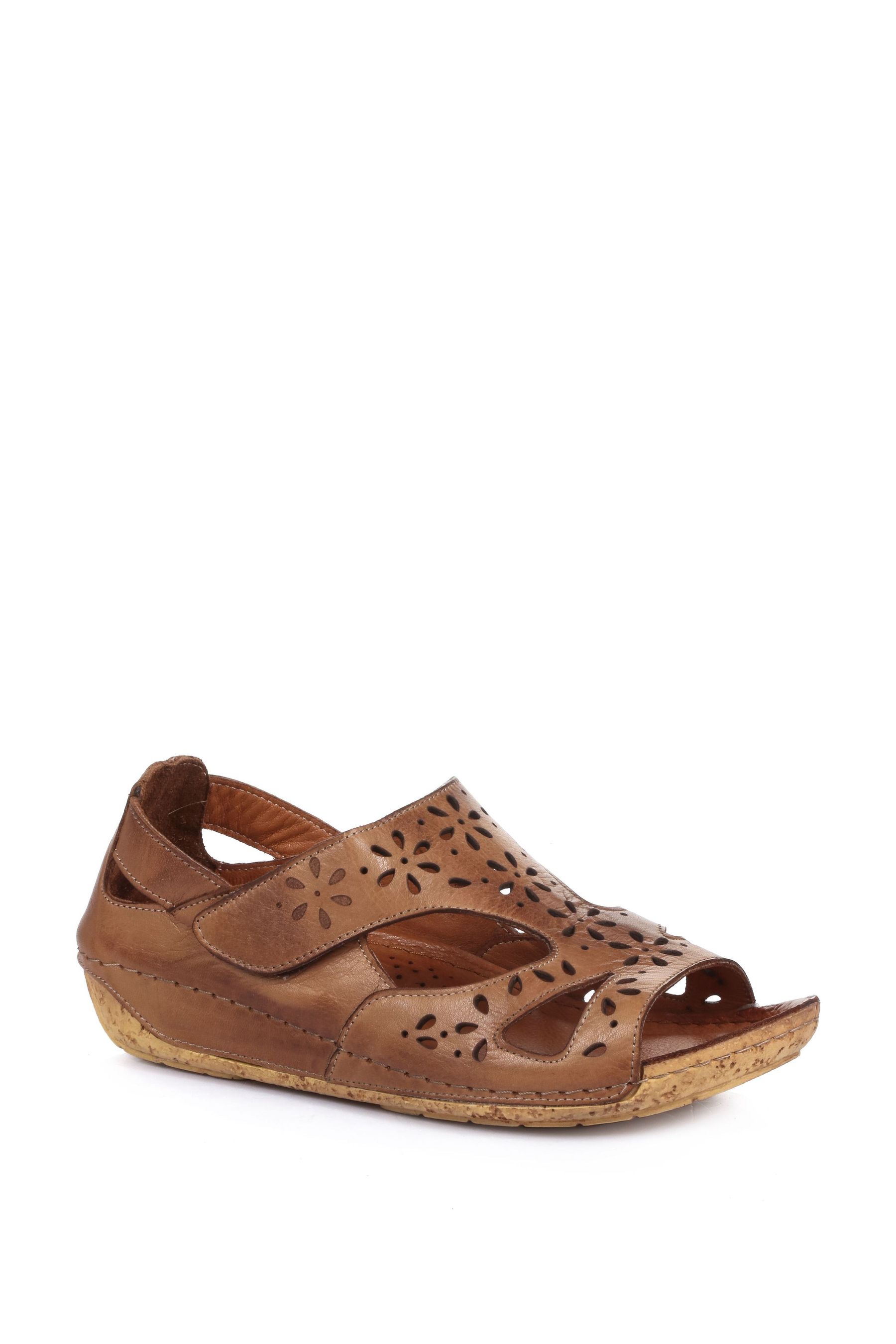 Buy Pavers Ladies Tan Leather Wide Fit Brown Sandals from the Next