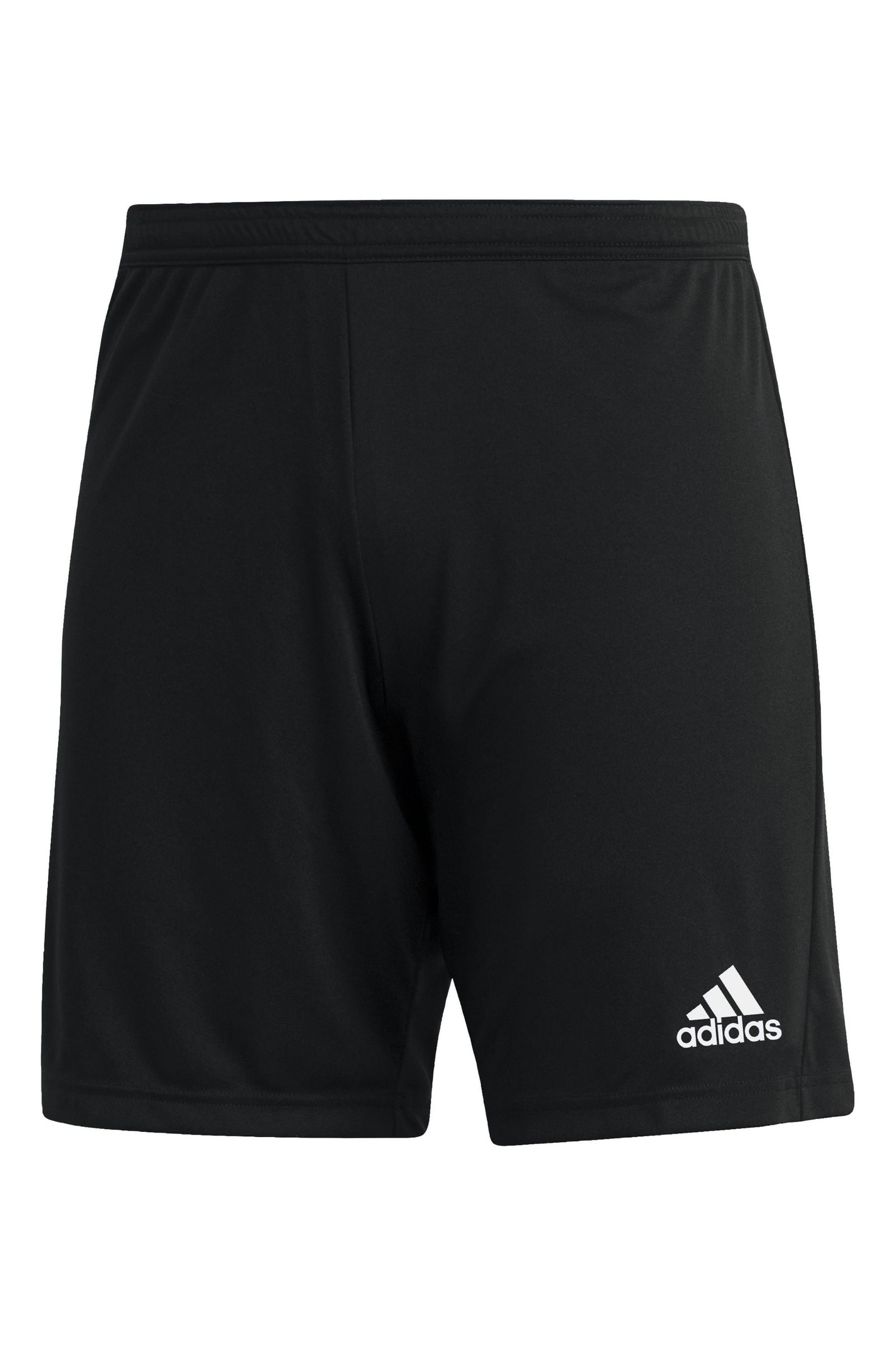 Adidas entrada shorts black 2025