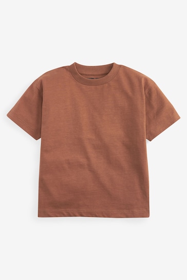 Blue/Brown Oversized Short Sleeve T-Shirts 5 Pack (3mths-7yrs)