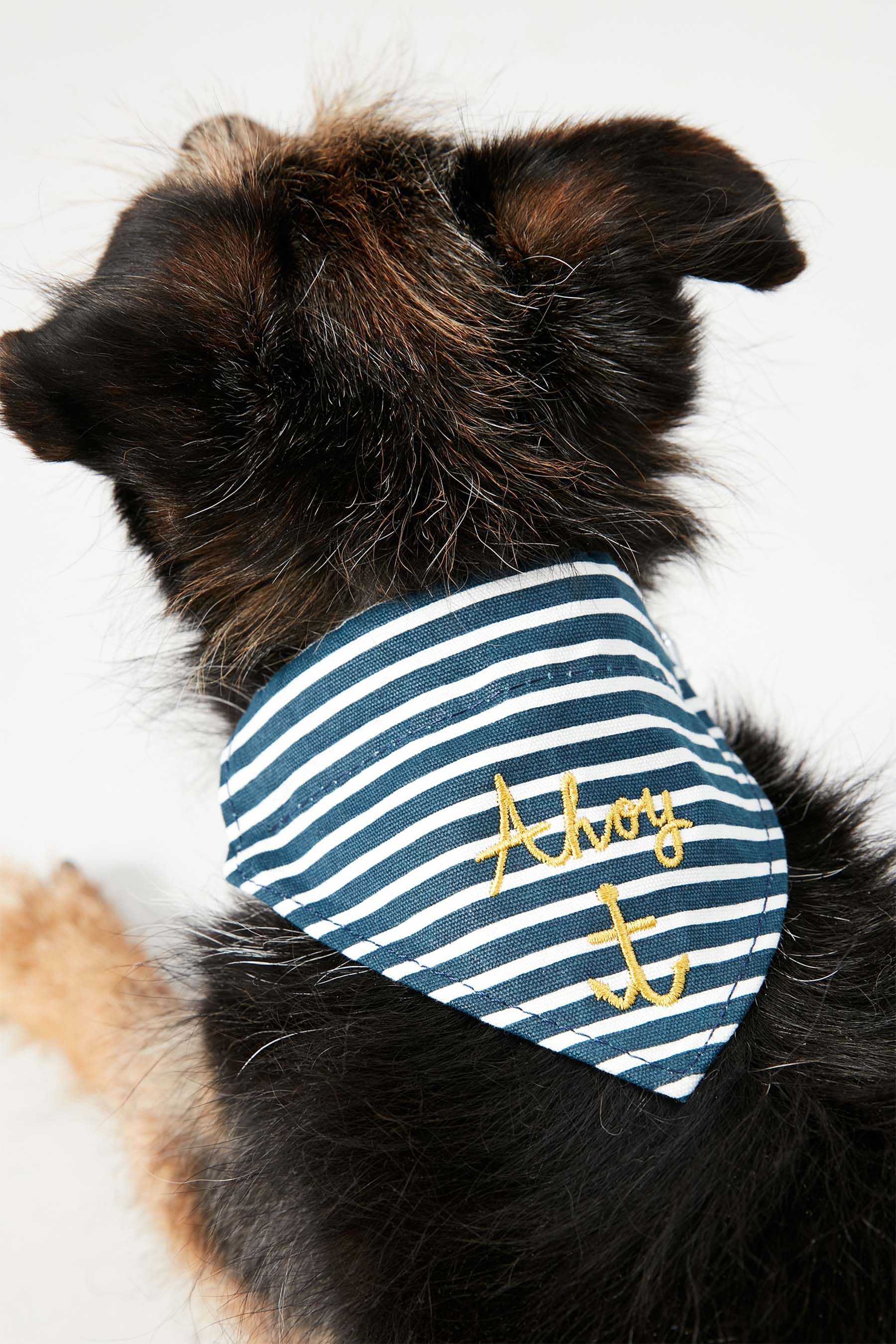 Blue bandana dog collar deals
