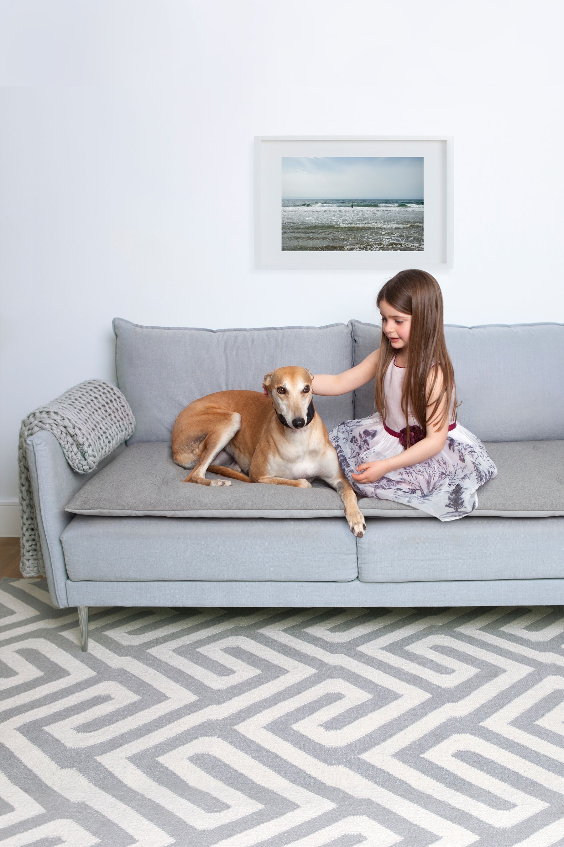 Next deals dog sofa