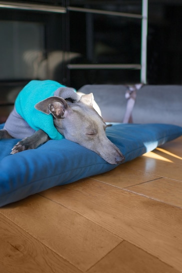 Lounging Hound Blue Travel Bed Roll in Teal Plush Velvet