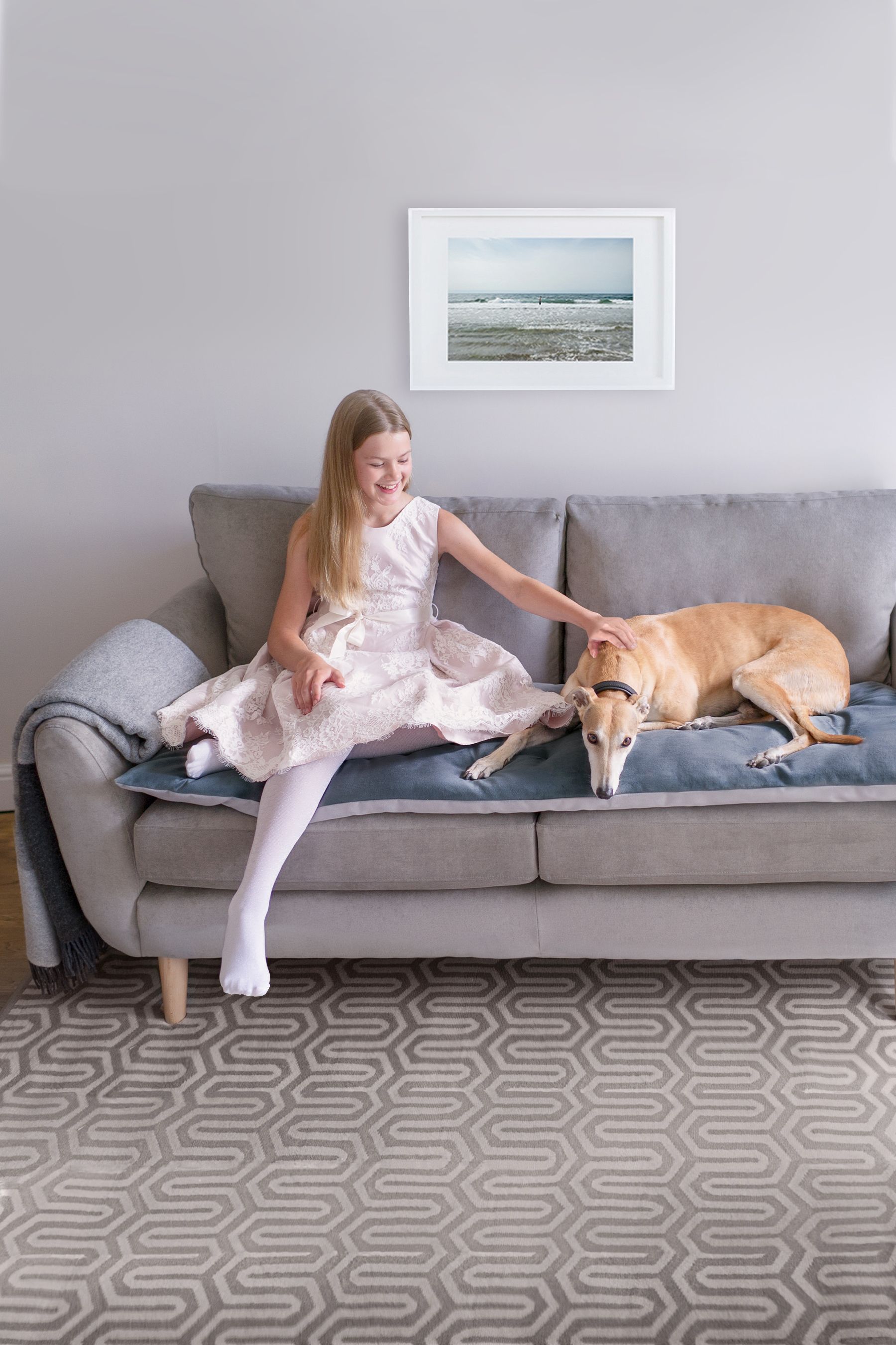 Next online dog sofa