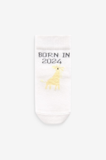 Ecru White Baby Born In 2024 Socks 2 Pack (0-12mths)