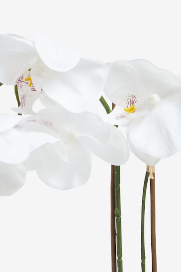 White Artificial Real Touch Orchid In White Ceramic Pot