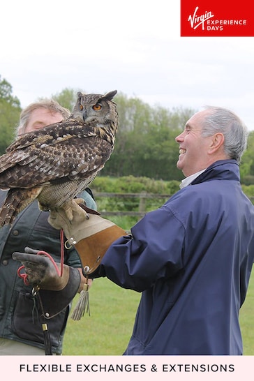 Virgin Experience Days Falconry For Two