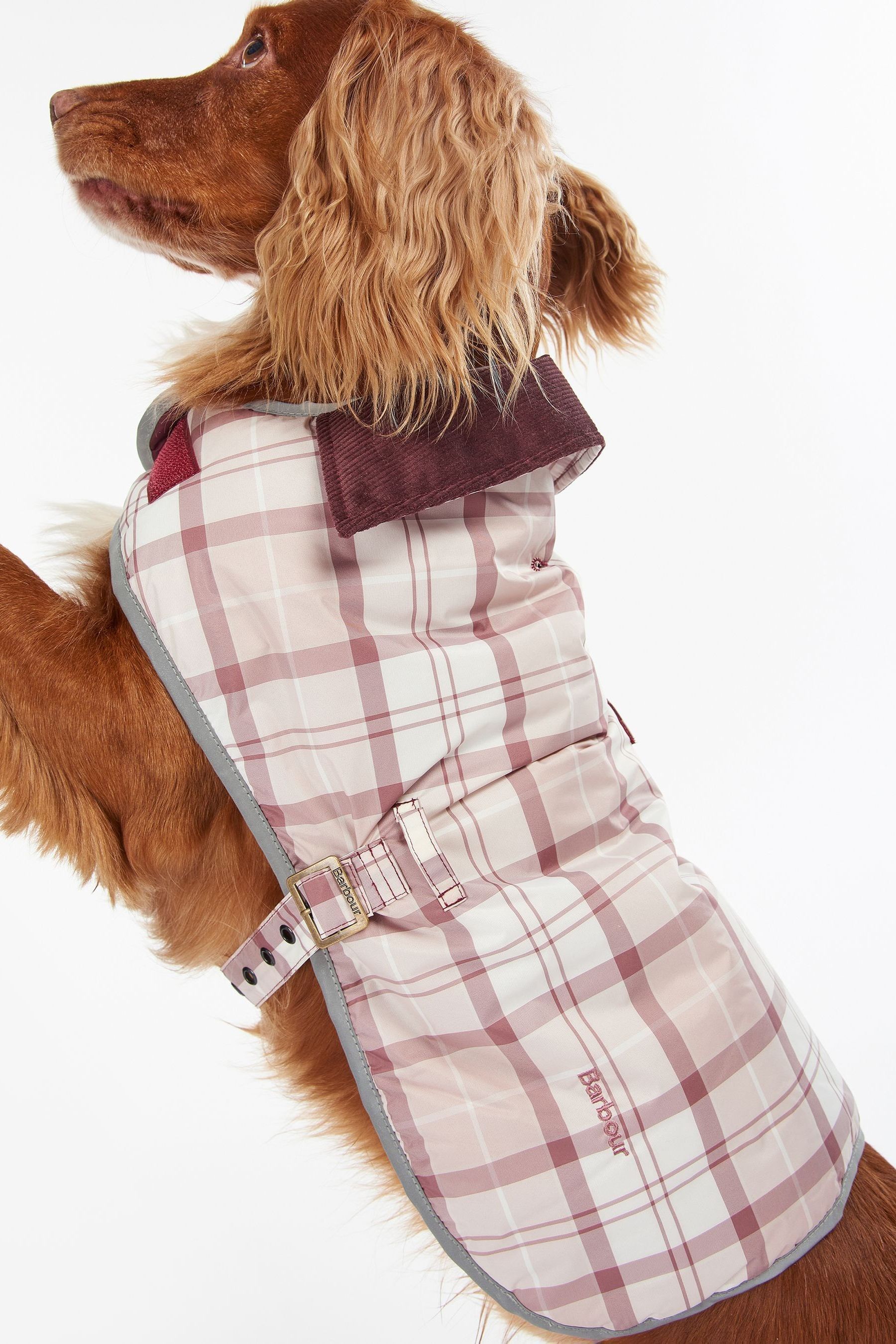 Pink barbour 2025 dog coat