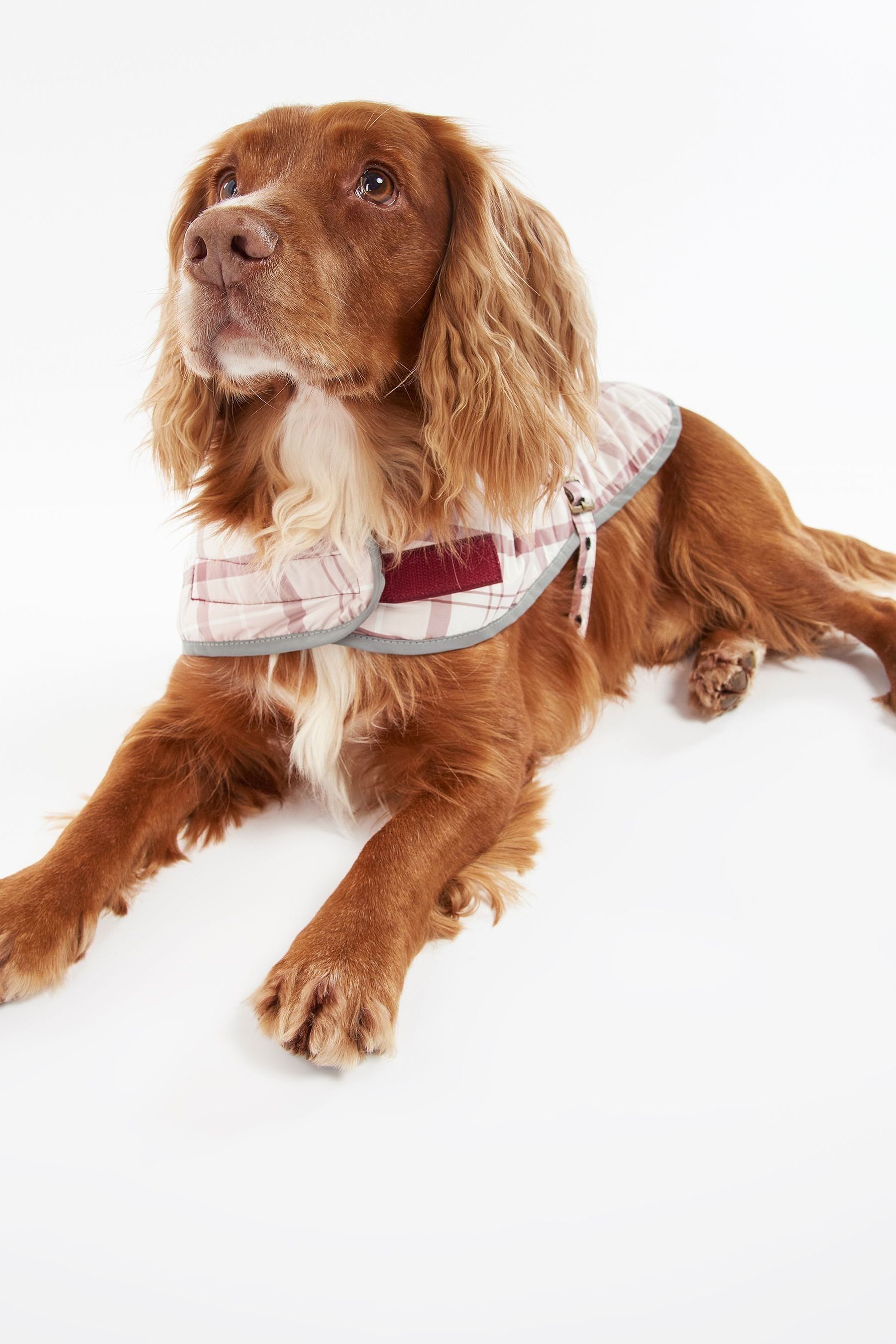 Barbour tartan dog coat pink deals