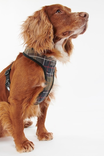 Barbour® Multi Classic Tartan Dog Harness