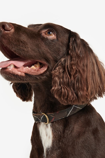 Barbour® Multi Classic Tartan Webbing Dog Collar